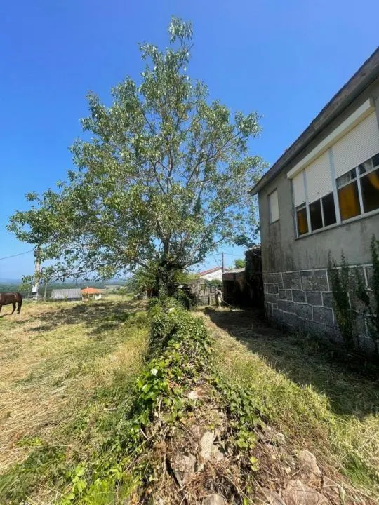 CASA CON FINCA DE 1.200M2 Y MULTIPLES POSIBILIDADES!! — 11