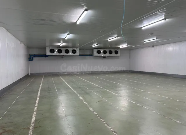 Nave logística con 9 muelles, cámaras frigoríficas y oficina - foto 5
