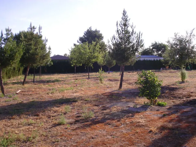 parcela: Terreno de 5500 m2 y casa de 60 m2, preparada para ampliar. — 2