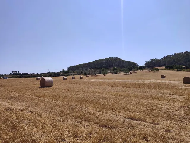 Terreno rural en venta - Porreres - foto 3