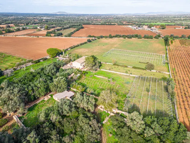 Magnifica finca rústica en la zona de Porreres. — 16