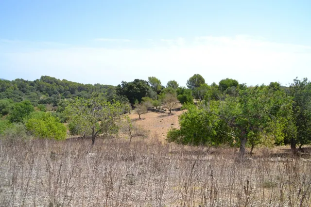 Finca rústica en Campanet — 7