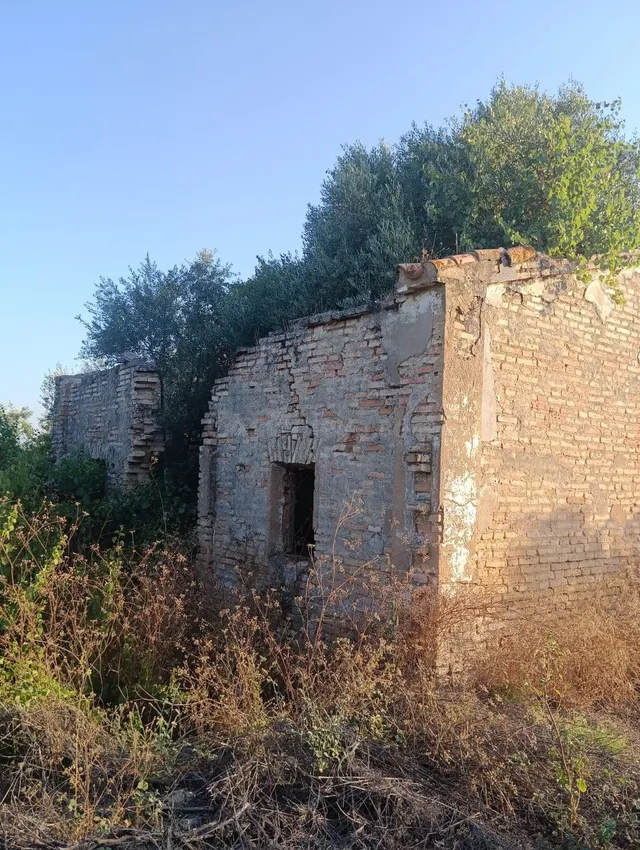 Terreno rural en venta - Almonte