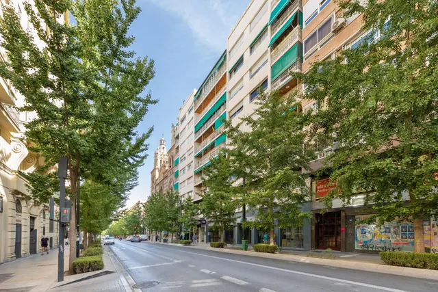 Local 377 m2 en Gran Vía – Centro Granada — 2