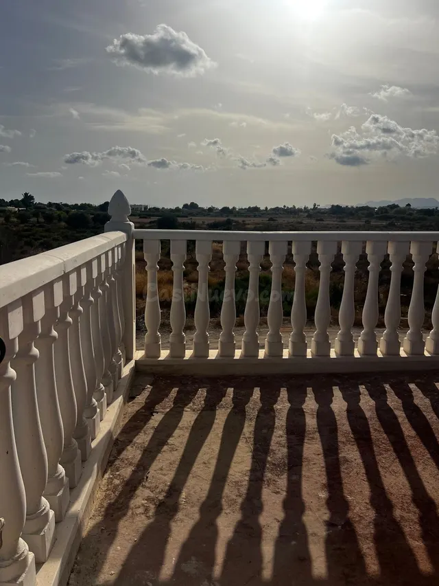 FINCA CON MÁS DE 11.000 M2 Y CASA DE 250 M2 ENTRE ELCHE Y AR - foto 4