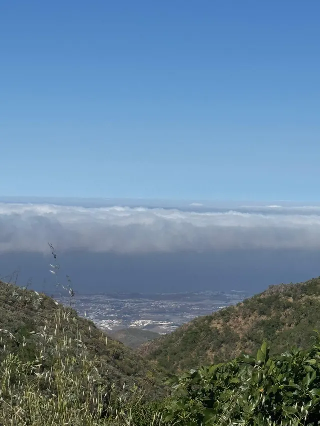 CAZADORES TELDE GRAN CANARIA (LAS PALMAS) — 29