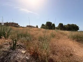 En ventas: 2 parcelas independientes -  Santa Oliva — 6