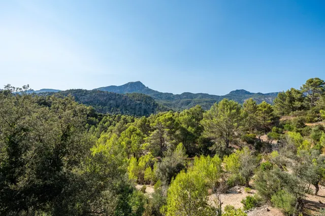 Finca rústica en plena Serra de Tramuntana Puigpunyent — 36