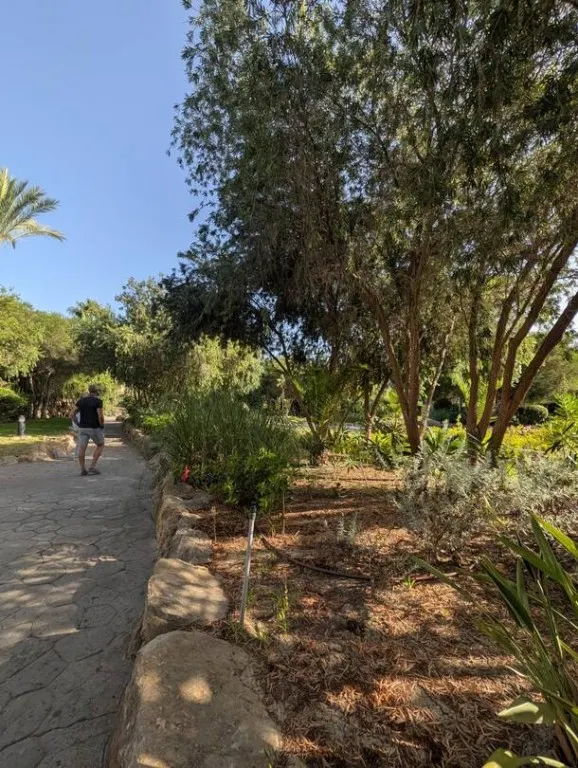 Casa de pueblo en Venta en Linea De La Concepcion, La Cádiz — 44
