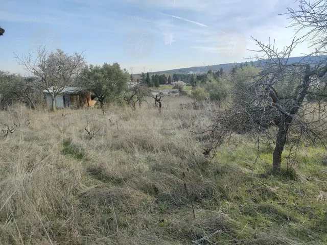 Parcela en Venta en Torrelaguna Madrid — 2