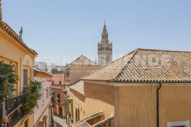 Casco Historico de Sevilla. Excelente vivienda con calidades