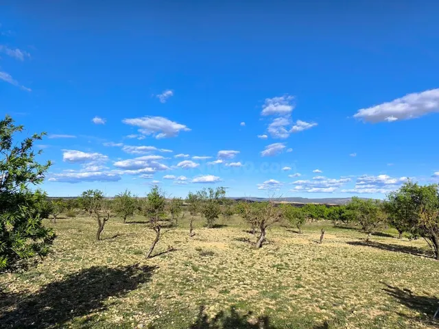 Parcela en venta - Castilla la mancha - foto 5