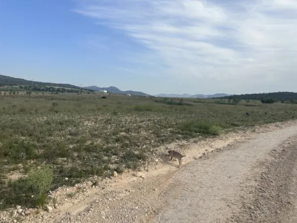Parcela de terreno de 69000 metros — 6