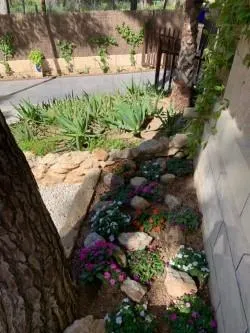 Villa de estilo mallorquín con amplio jardín de pinos en Cala Vinyes — 34