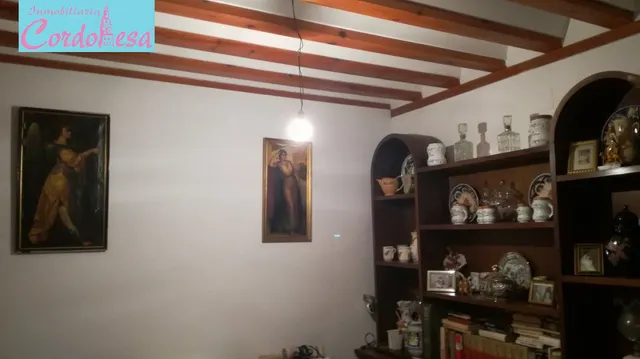 LA MEJOR INVERSION PARA EL CENTRO — 5