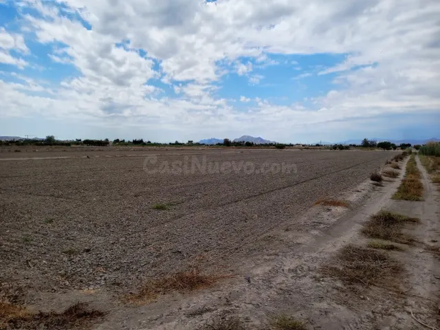 Parcela 11900m² en venta - Costa blanca sur - foto 4