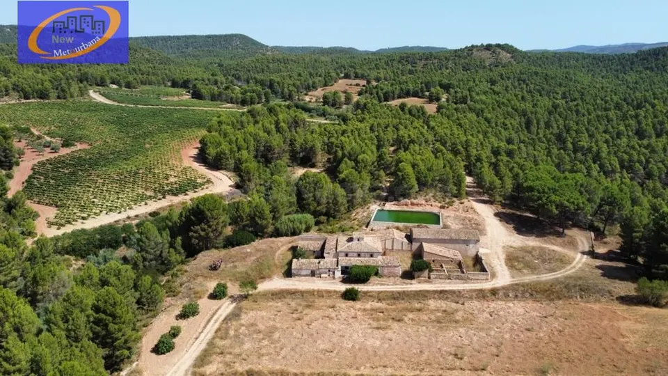 EN VENTA FINCA DE VIÑEDOS EN COFRENTES DE 209 HECTAREAS