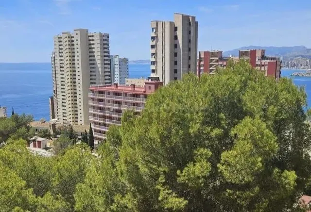 EXCELENTE TERRENO URBANO EN RINCON DE LOIX - foto 3