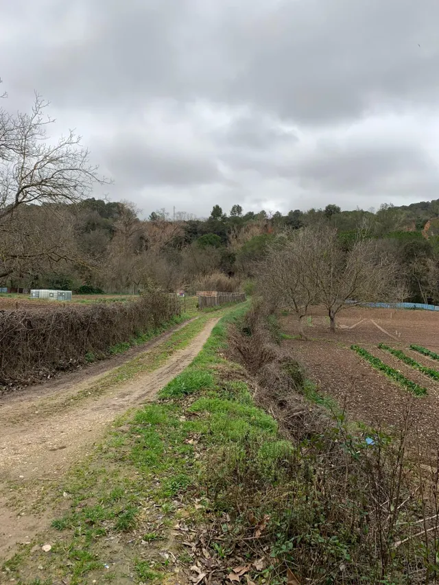 PROYECTO DE FINCA RÚSTICA — 25