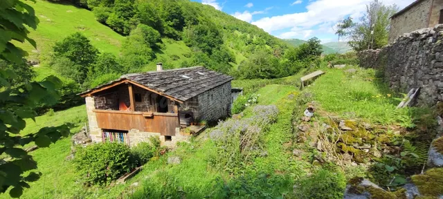 CABAÑA PASIEGA CON FINCA PRODUCTIVA DE FRUTOS ROJOS EN VEGA