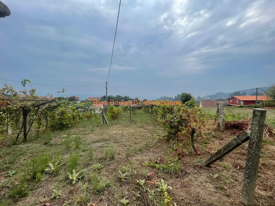 REF 4183 SOLAR DE 836m2 EN ZONA ALTA Y VISTAS DESPEJADAS TAMEIGA ( MOS )
