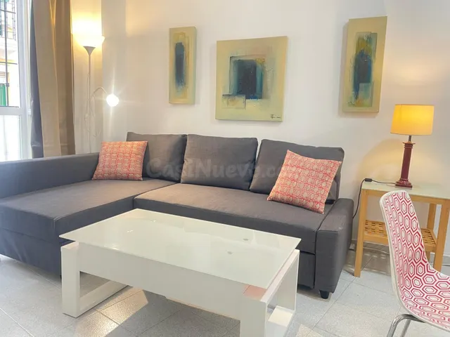 ¡ALQUILER DE APARTAMENTO EN EL CORAZÓN DEL CASCO ANTIGUO DE MÁLAGA! — 3