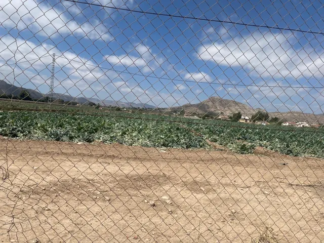 VENTA DE PARCELA EN ASPE (ALICANTE) - foto 4