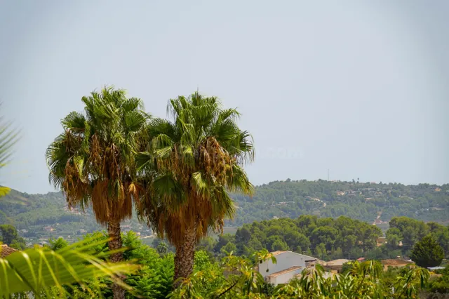 Villa 5 habitaciones 229m² en venta - Jalon — 49
