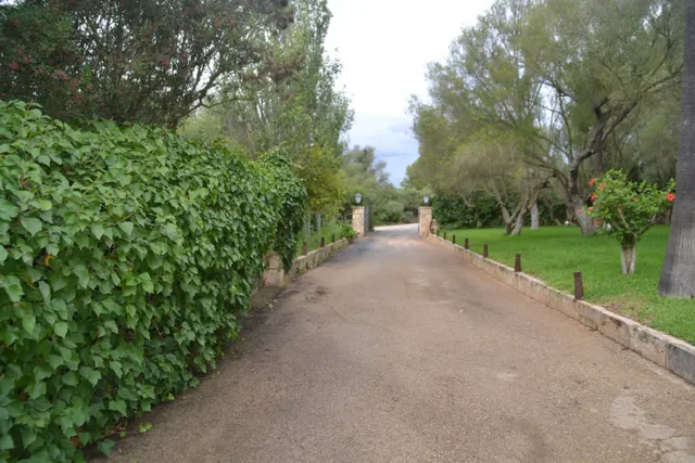 Finca rústica — 33