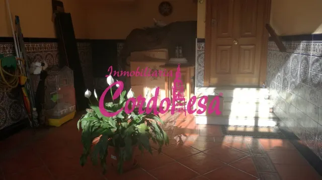 ESTUPENDA CASA JUNTO A ZOCO — 7