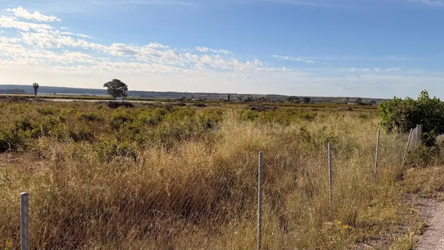 Oportunidad de Inversión, Terreno junto al núcleo urbano. - foto 3
