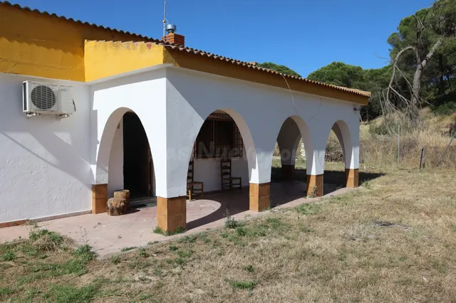 Tradicional casa de campo con amplio terreno y piscina en El - foto 2