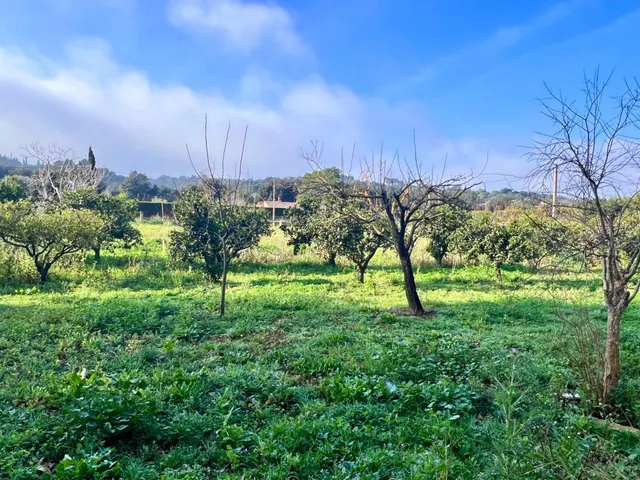 Finca rústica Campanet — 10