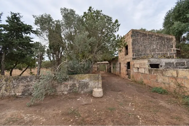Finca rústica con posibilidad de vivienda en Muro - foto 4