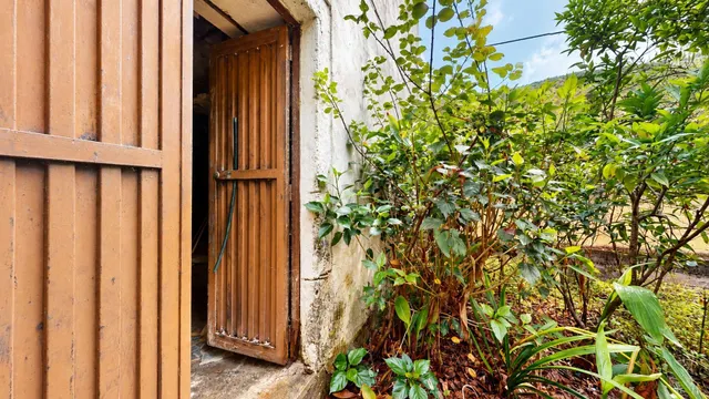 Finca con casa tradicional canaria y terreno de más de 12.000 m2 en Valsendero – Valleseco — 17