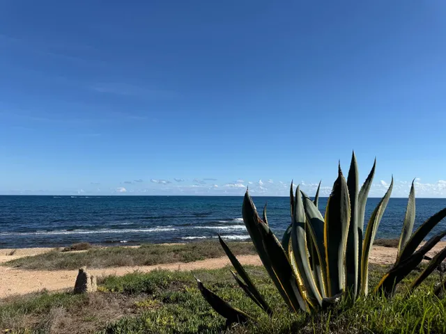 Apartamento 2 habitaciones 50m² en venta - Eliseos playa — 19