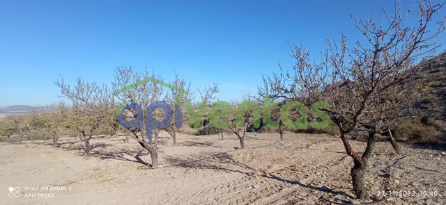 Terreno-parcela en Purias — 17
