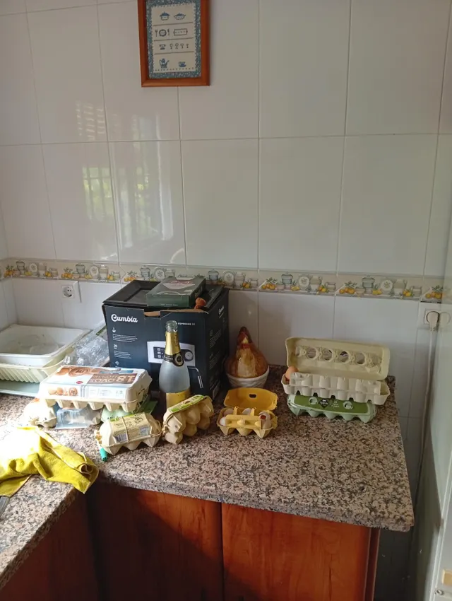 ¡Gran oportunidad en La Villa! Casa con 1.500 m2 de terreno urbano y garaje edificable en Ayamonte — 41