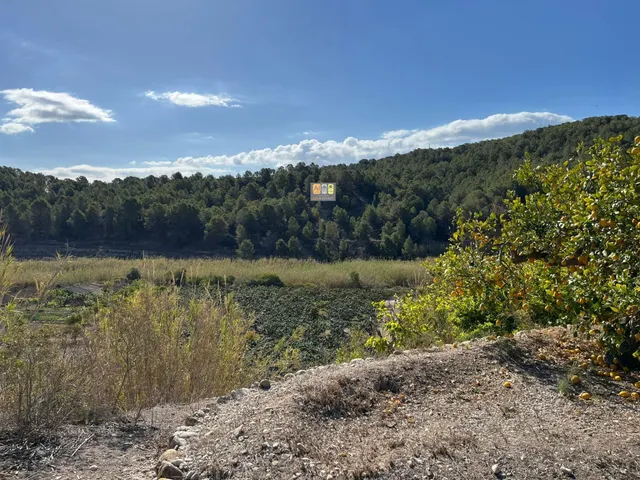 CASA CON TERRENO ( Callosa De Ensarriá) — 20
