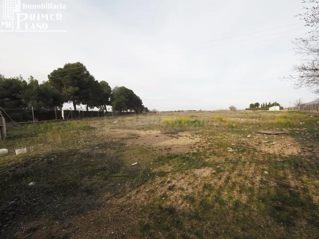 Se vende parcela de terreno rustico en la carretera de Argam