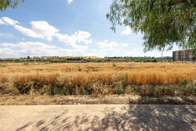 Parcela de 5000 metros junto al mercadona de Hijar — 13
