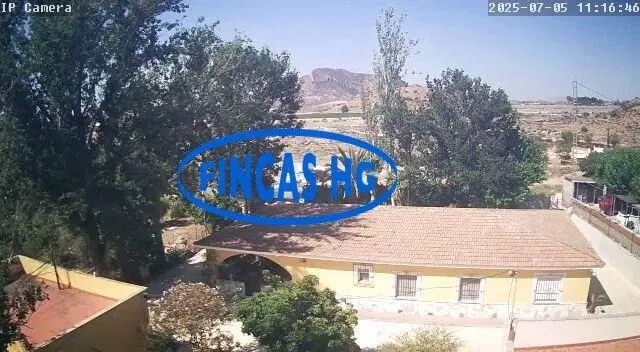 Típica casa tradicional de campo situada sobre terreno URBANO!  de 3900m2 — 41