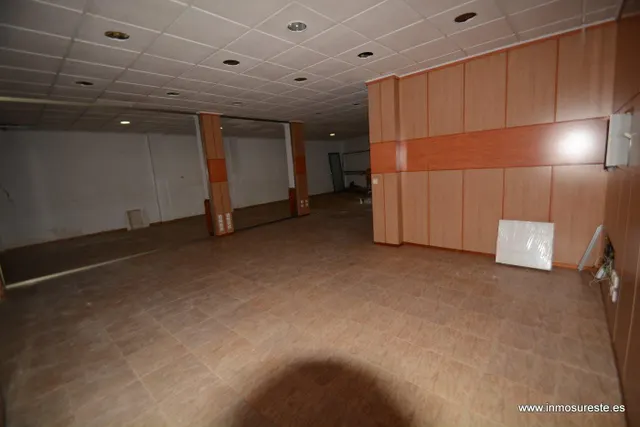 Alquiler de local comercial con dos persianas en pleno centro de la ciudad de Orihuela. — 3