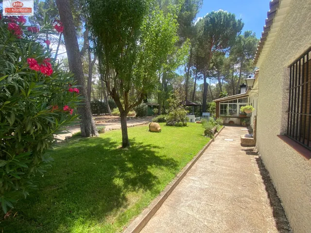 ESPECTACULAR CHALET EN PINARES DEL JUCAR — 10