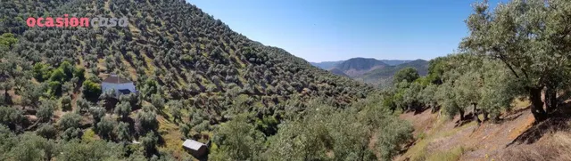 FINCA DE OLIVOS CON CORTIJO,NAVES Y MUCHA AGUA - foto 2