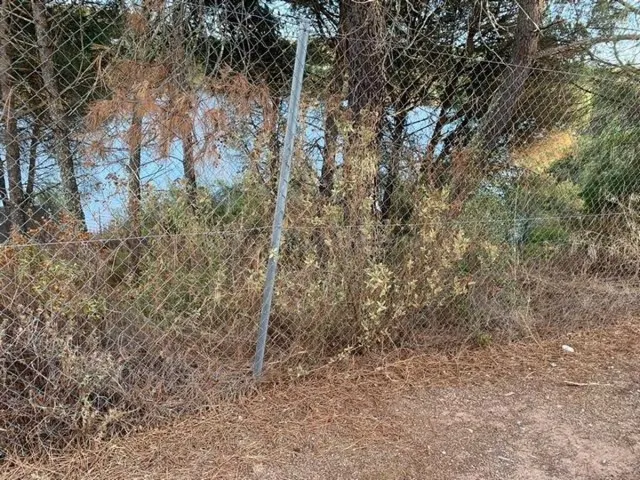 ZONA LAS JARAS. Parcela de terreno de 1154 m2 con punto de l - foto 3