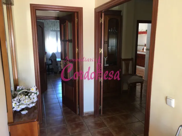 MAGNIFICO CASA CON TERRRENO EN ALCOLEA!! — 6