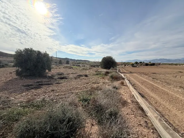 GRAN FINCA CON CASA PARA REFORMAR!!! — 11