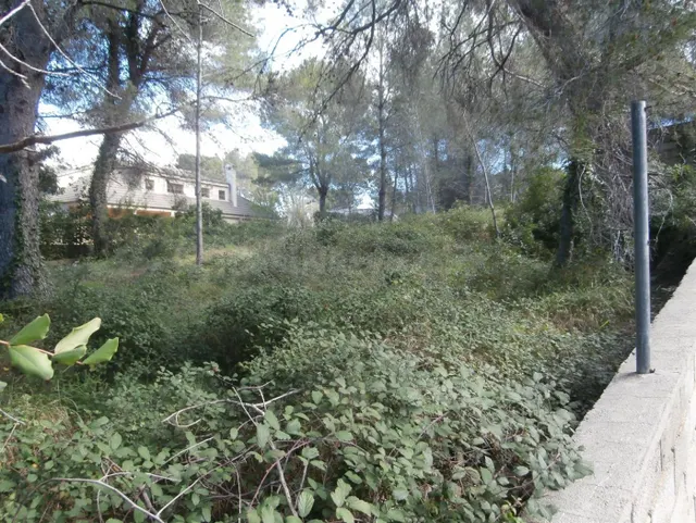 SUELO RUSTICO EN VENTA ZONA VALLETES DE BRU — 2