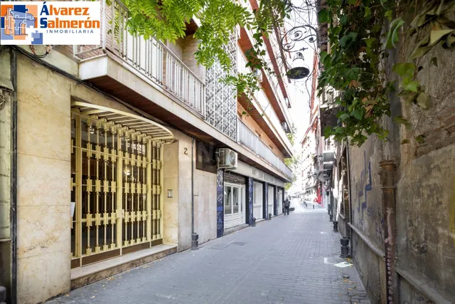 ✨ EXCLUSIVA VIVIENDA REFORMADA EN PLAZA MARIANA PINEDA — 4
